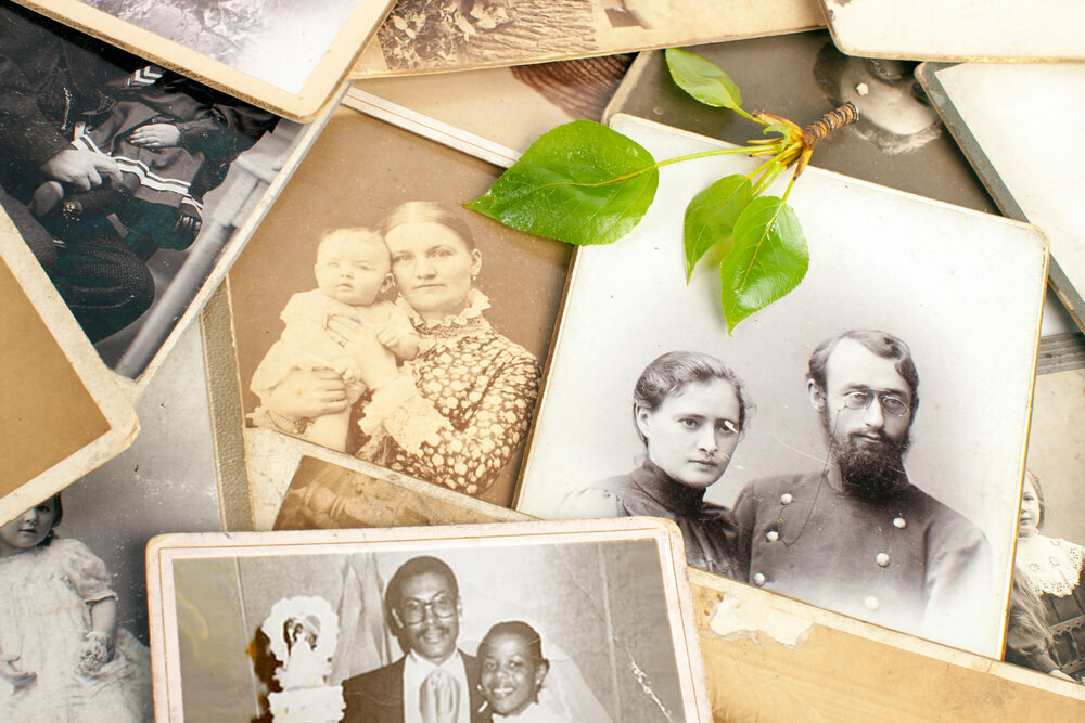 genealogy - ancestry showing old photos and leaves